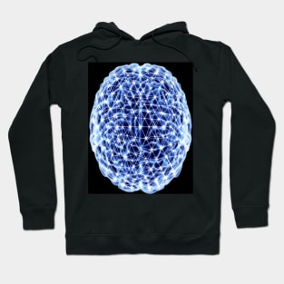 Brain, neural network (F003/4064) Hoodie